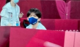 体育圈饭圈化 吃瓜爆料,饭圈化下的吃瓜爆料盛宴